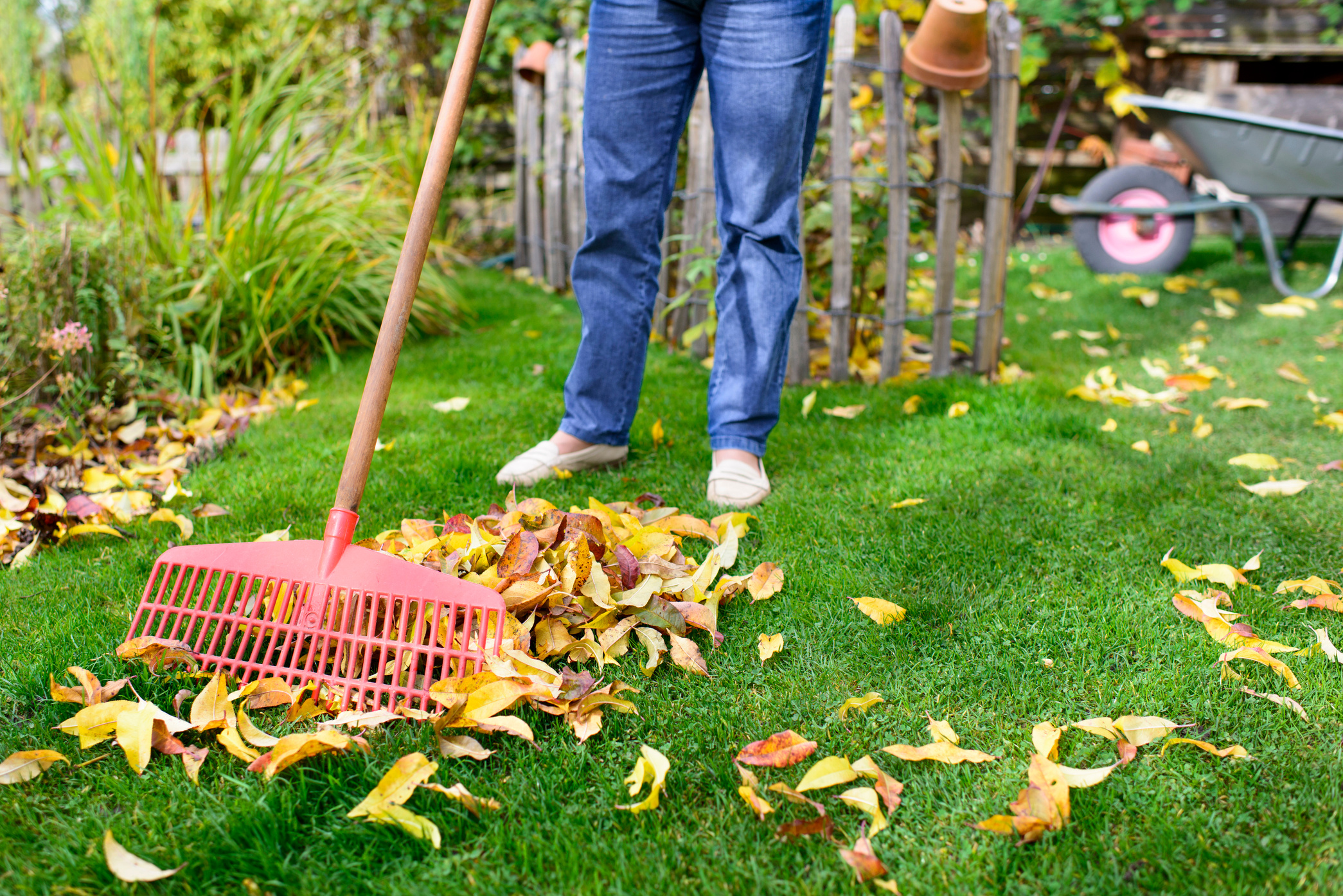 Gardening - sweeping leaves